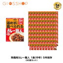 5年保存 非常食 江崎グリコ 常備用カレー職人 カレー 中辛 1食分(170g) 80食セット