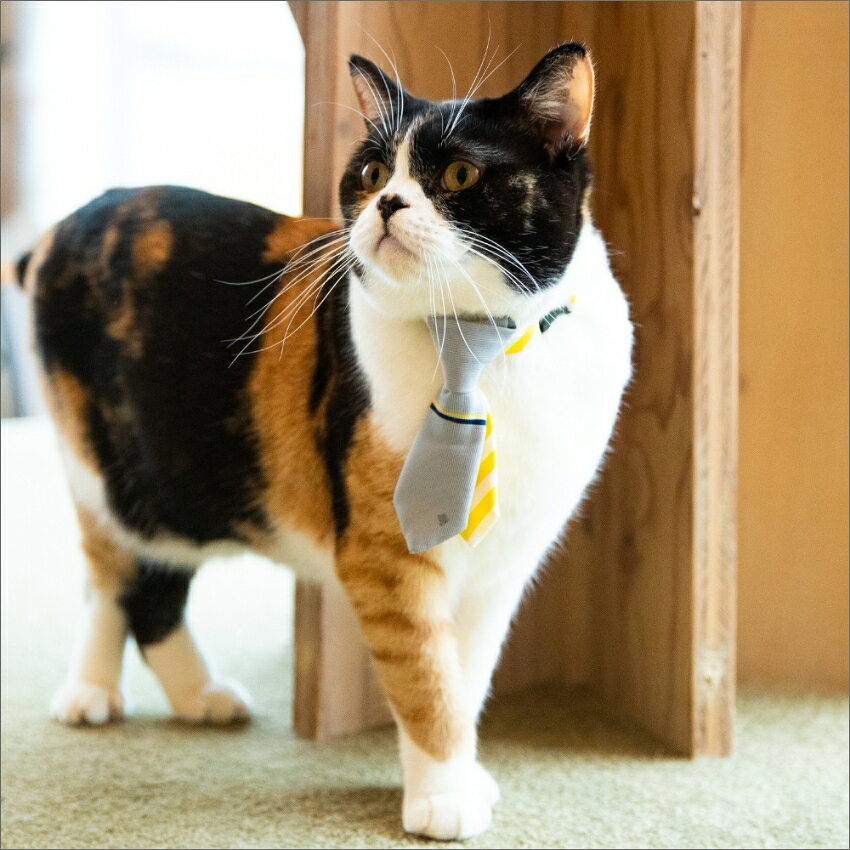 猫のためのネクタイ（トラベルベルトチップタイ）グレー GRAY　おしゃれ かわいい ...