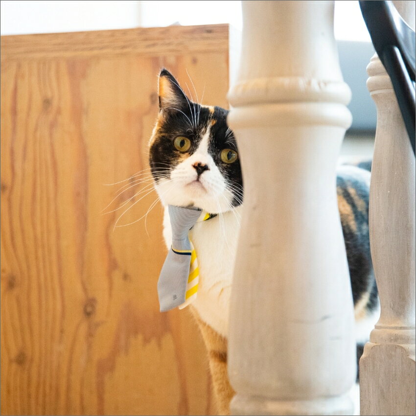 猫のためのネクタイ（トラベルベルトチップタイ）グレー GRAY　おしゃれ かわいい ...