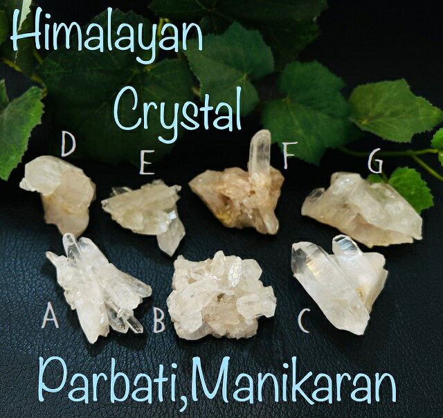 クラスターヒマラヤ山脈パールヴァティー渓谷産マニカラン水晶【E】