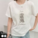 【23%OFF】Tシャツ レディース 半袖 トップス カットソー 1枚で決まる ゆったり 着痩せ プルオーバー おしゃれ きれいめ 体型カバー プリント かわいい 可愛い クルーネック 丸首 ミドル丈 柔らかい 薄手 大きいサイズ アニマル シアー 透け感 春 夏 春夏