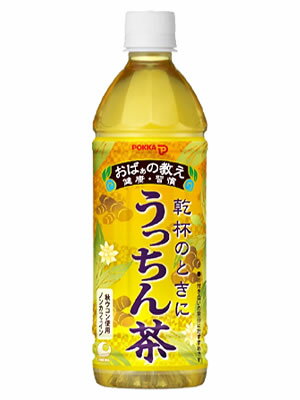 送料無料！　【沖縄ポッカ】 うっちん茶　（うこん茶）　500ml ×48本