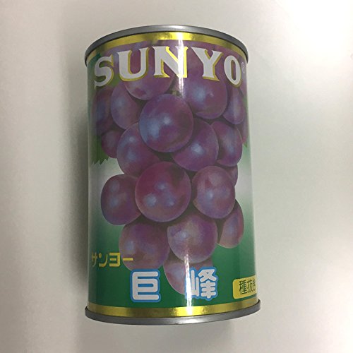 サンヨーフルーツ缶詰巨峰ぶどう×6
