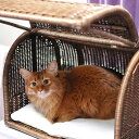 ラタン キャリーベッドM 【メッセージカード対応】 ベッド クッション カドラー 小型犬 ネコ キャットベッド