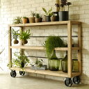MOSH モッシュ MUT SHELF M ムート シェルフM 【ノベルティ対象外】 シェルフ ラック 棚 収納 スチール 無垢材 ビンテージ ヴィンテージ イ...