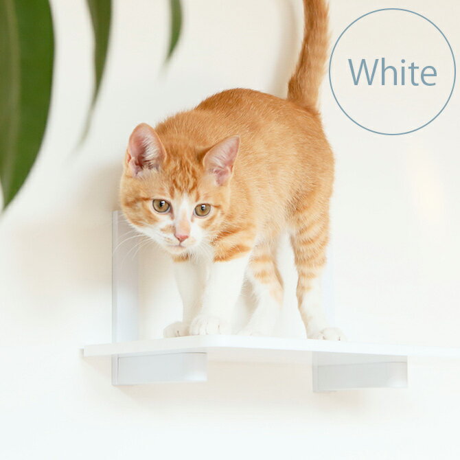 キャットステップ animacolle アニマコレ Catroad+ キャットステップ ホワイト cp259 【ラッピング対応】 【メッセージカード対応】 猫 賃貸 キャットステップ キャットウォーク 壁 DIY 上下運…