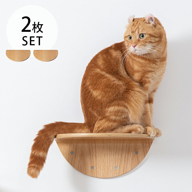 キャットステップ MYZOO マイズー Round Lack ラウンドラック 2枚セット 【メッセージカード対応】 猫 キャットステップ キャットウォーク 壁付け 壁掛け 木製 シンプル 丸形 円形 北欧 【あす楽】