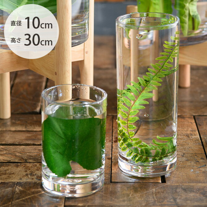 FOYER ホワイエ PVシリンダー 直径10cm×高さ30cm 【ラッピング対応】 【メッセージカード対応】 フラワ..