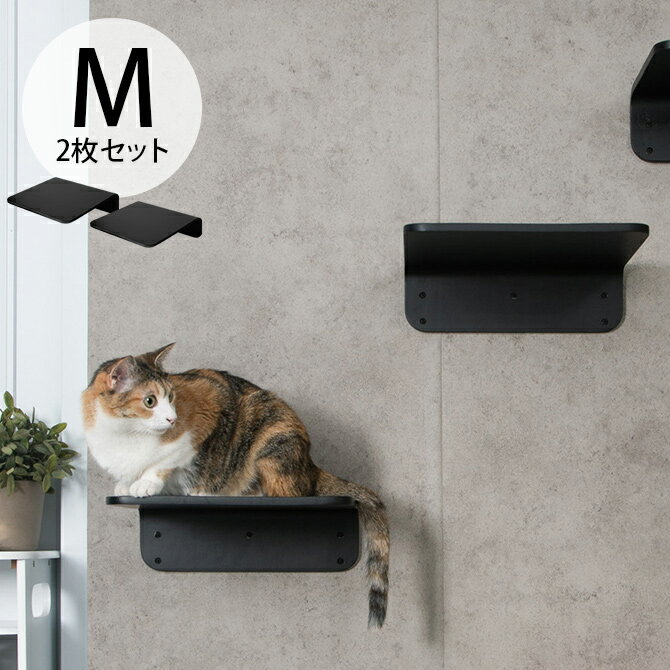 キャットステップ MYZOO マイズー Lack M キャットステップ ラック M 2枚セット ブラック 【メッセージカード対応】 猫 キャットステップ キャットウォーク 壁付け 壁掛け ブラック シンプル MY ZOO 北欧