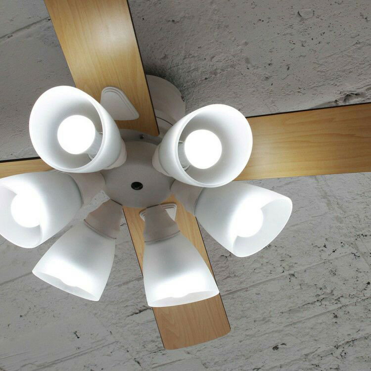 plus more プラスモア シーリングファン Windouble 6灯 【メッセージカード対応】 シーリングファンラ..