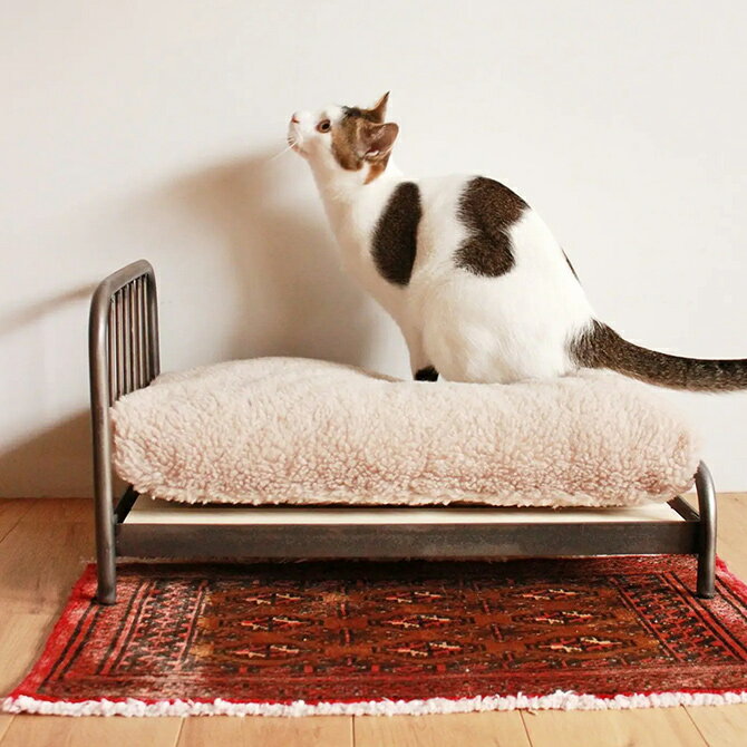 JOURNAL STANDARD FURNITURE ジャーナルスタンダードファニチャー SENS BED for CAT 猫 ベッド ペットベッド おしゃれ フレーム ビンテージ ヴィンテージ インダストリアル 家具 インテリア