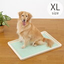 Bonbi ボンビアルコン しつけるトレー XL メッシュタイプ 【メッセージカード対応】 トイレトレー ペットトレー ス―パーワイド 犬 メッシュ 大型 シンプル トイレ 犬用 しつけ