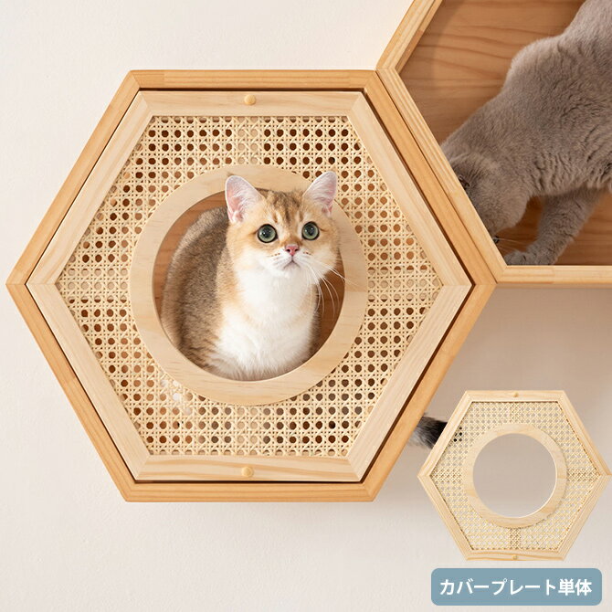 ＼ペット割で最大P5／ キャットステップ MYZOO マイズー Busy Cat専用 COVER RATTAN カバーラタン 【メッセージカード対応】 猫 ハウス スツール 六角 ラタン 藤細工 おしゃれ 和 カバー プレート