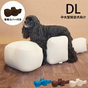 OneAid ワンエイド リラクッション&専用カバーセット DL 犬 中大型短足犬 介護 シニア ビーズクッション 姿勢サポート 高齢 専用カバー付き
