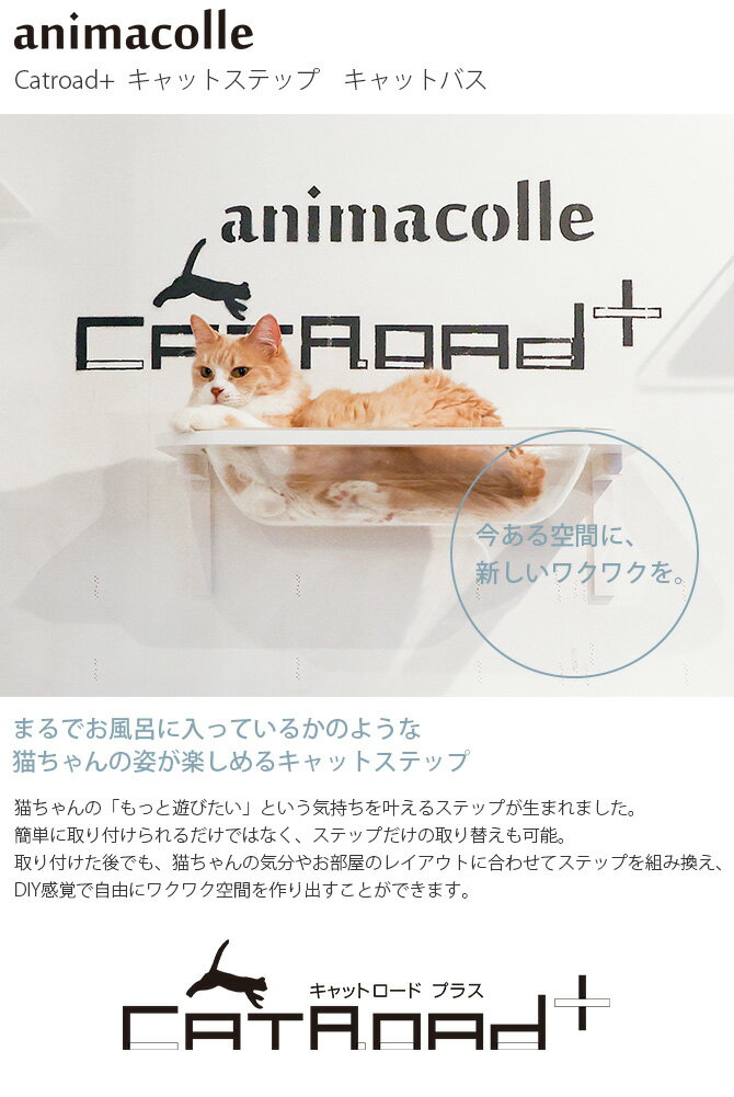 animacolle アニマコレ Catroa...の紹介画像2