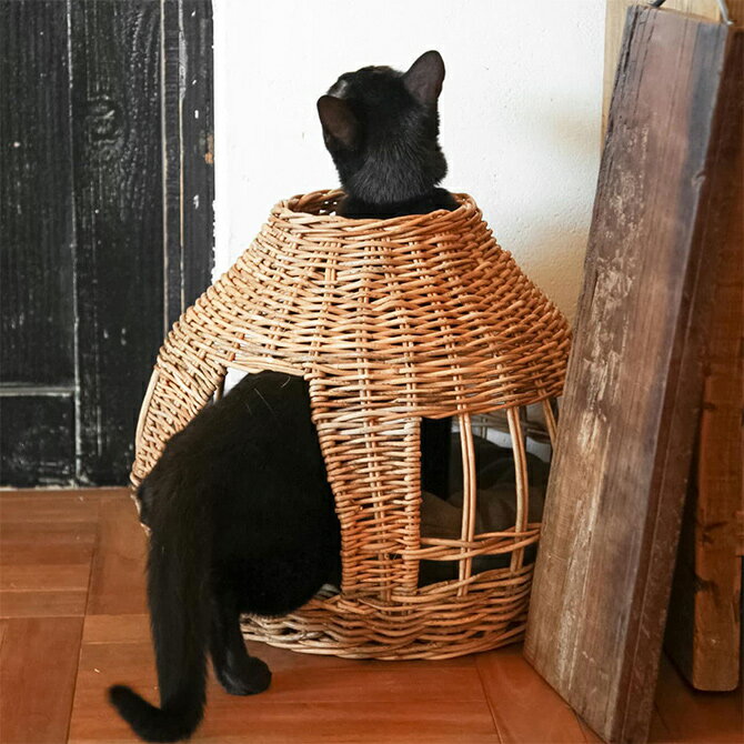 GROOM グルーム ねこハウス オニオン　BY THE AROROG 【メッセージカード対応】 猫 ベッド キャットベ..