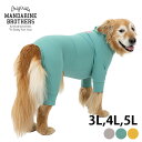 MANDARINE BROTHERS マンダリンブラザーズ ウォーターリペレント スキンタイトスーツ 3L、4L、5L 【ラッピング対応】 【メッセージカード対...