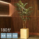 フェイクグリーン 鉢植え 大型 ウッドボックス ショウナンゴム 1.8m 光触媒 フェイクグリーン 消臭 抗菌 ペット おしゃれ 防汚 玄関 待合室 オフィス 店舗 人工観葉植物