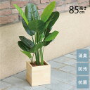 フェイクグリーン 鉢植え 大型 ウッドボックス スキタンブサス 85cm 光触媒 フェイクグリーン 消臭 抗菌 ペット おしゃれ 防汚 玄関 待合室 オフィス 店舗 人工観葉植物
