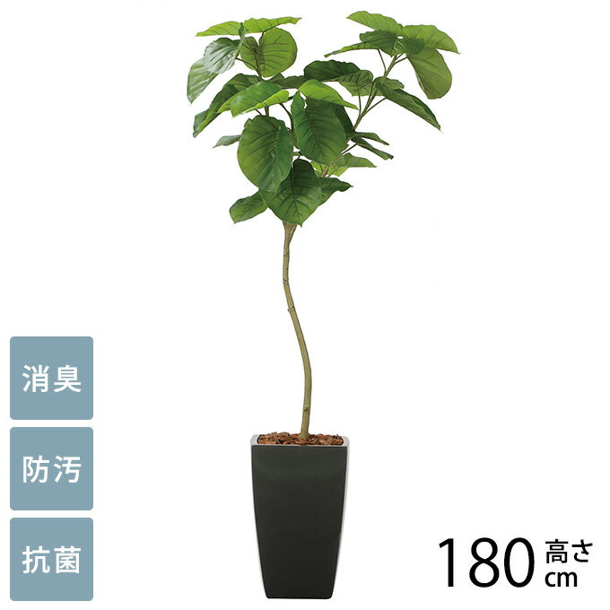 フェイクグリーン 鉢植え 大型 観葉植物 人工樹木 アーバンスタイル フレッシュウンベラータ 1.8m 光触媒 フェイクグリーン 消臭 抗菌 ペット おしゃれ 防汚 玄関 待合室 オフィス 店舗 人工観葉植物