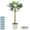 フェイクグリーン 鉢植え 大型 観葉植物 人工樹木 フロアタイプ セローム 1.8m 光触媒 フェイクグリーン 消臭 抗菌 ペット おしゃれ 防汚 玄関 待合室 オフィス 店舗 人工観葉植物
