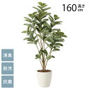 フェイクグリーン 鉢植え 大型 観葉植物 人工樹木 フロアタイプ アルテシマDX 1.6m 光触媒 フェイクグリーン 消臭 抗菌 ペット おしゃれ 防汚 玄関 待合室 オフィス 店舗 人工観葉植物