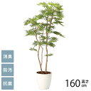 フェイクグリーン 鉢植え 大型 観葉植物 人工樹木 フロアタイプ ねむの木 1.6m 光触媒 フェイクグリーン 消臭 抗菌 ペット おしゃれ 防汚 玄関 待合室 オフィス 店舗 人工観葉植物