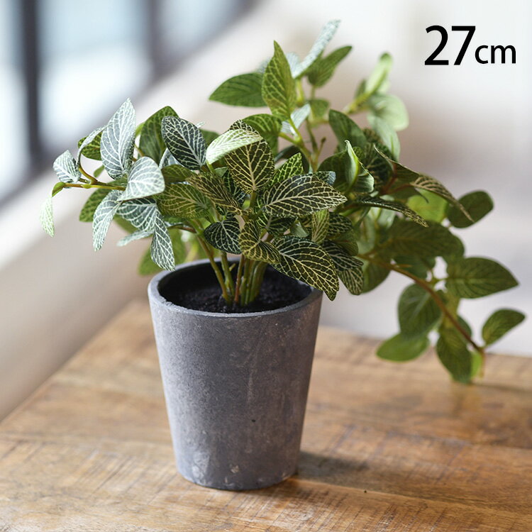 フェイクグリーン フィトニア ポット 【メッセージカード対応】 フェイクグリーン おしゃれ 鉢 フィトニア ペット 人工観葉植物 グリーン インテリア 室内 ボタニカル