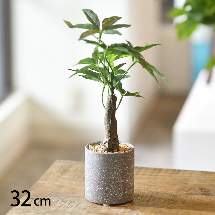 フェイクグリーン パキラ ポット 【メッセージカード対応】 フェイクグリーン おしゃれ 鉢 パキラ ペット 人工観葉植物 グリーン インテリア 室内 ボタニカル