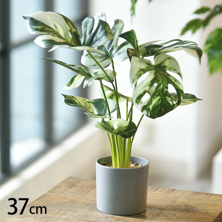 フェイクグリーン モンステラ バリエガータ ポット 【メッセージカード対応】 フェイクグリーン おしゃれ 鉢 モンステラ ペット 人工観葉植物 グリーン インテリア 室内 ボタニカル