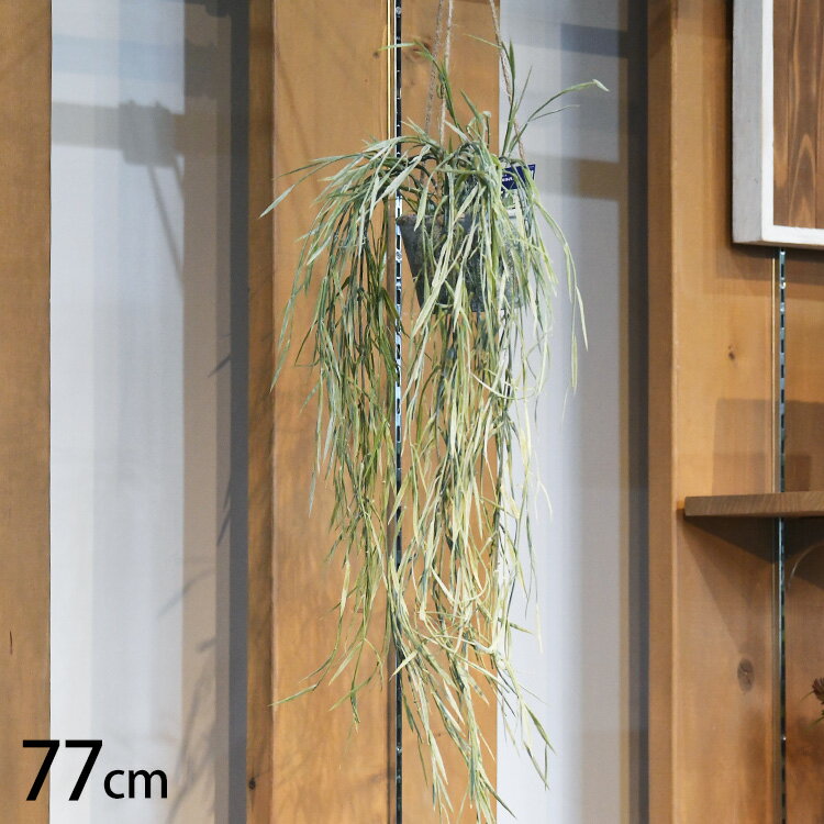 フェイクグリーン リプサリス ハンギングポット 【メッセージカード対応】 フェイクグリーン おしゃれ ハンギング リプサリス ペット 人工観葉植物 グリーン インテリア 室内 吊るす