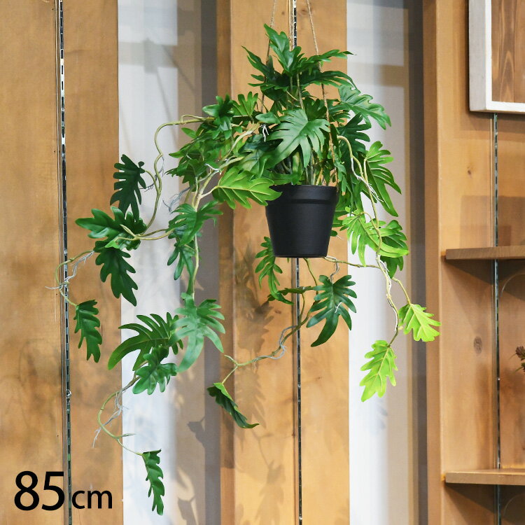 フェイクグリーン クッカバラン ハンギングポット 【メッセージカード対応】 フェイクグリーン おしゃれ ハンギング クッカバラン ペット 人工観葉植物 グリーン インテリア 室内 吊るす