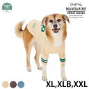 MANDARINE BROTHERS マンダリンブラザーズ ロングスリーブ Tシャツ XL、XLB、XXL 【ラッピング対応】 【メッセージカード対応】 犬用 ドッグウェア Tシャツ 春用 秋用 冬用 長袖 野球 フットボール ユニフォーム おしゃれ ユニセックス カジュアル 防寒対策