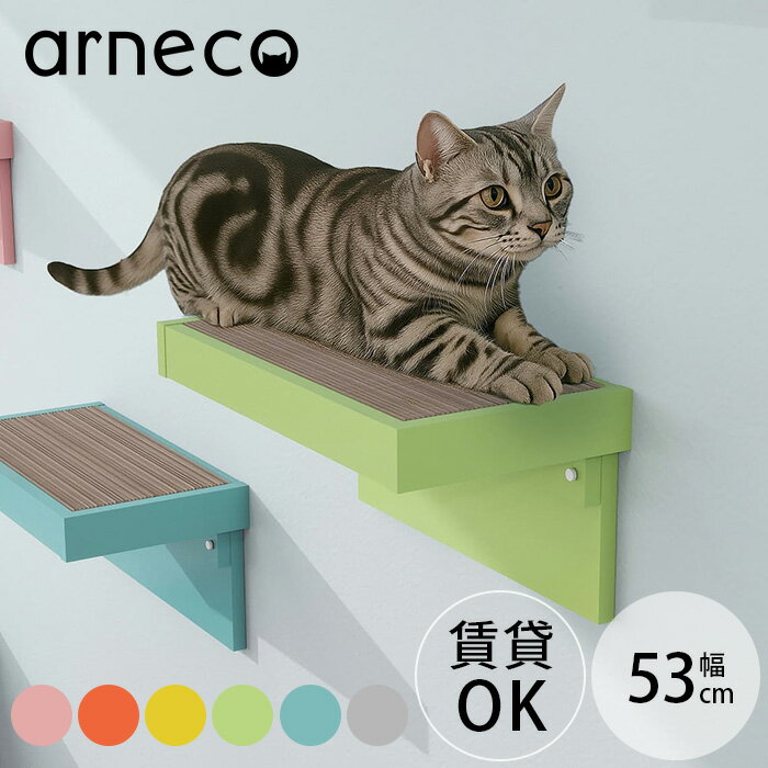 【サンプル送付サービスあり】 ＼ペット割で最大P5／ arneco アーネコ Board Nail ボードネイル キャッ..