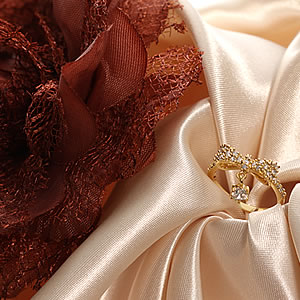 ɥ塼ӥå륳˥奨꡼γ㡼ѥܥ󥰡ûءåץ쥼ȡåեȡringå꡼