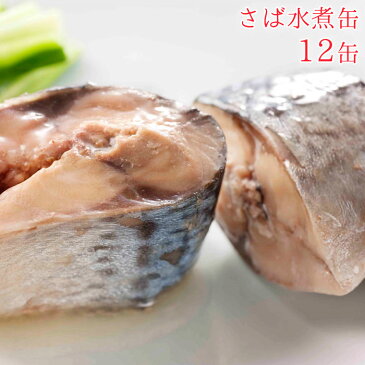 缶詰 魚 防災 鯖缶 水煮缶 12缶 セット 宝幸 HOKO 日本のさば サバ缶 鯖 サバ さば 水煮 12缶セット 缶詰め 缶づめ おつまみ ご挨拶 ご進物 手土産 内祝 ギフトセット 非常食 一品料理 災害 便利 おいしい 副菜 おかず