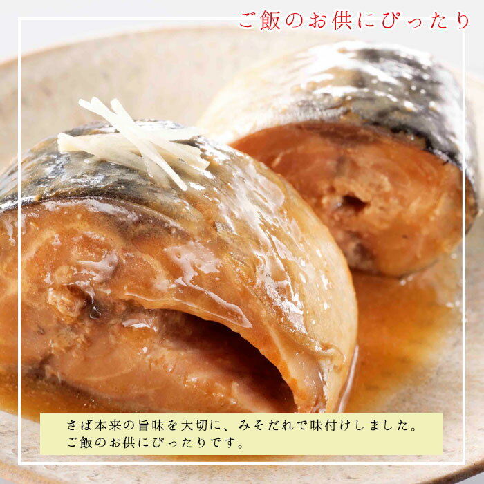 缶詰 魚 防災 鯖缶 味噌煮缶 12缶 セット 宝幸 HOKO 日本のさば サバ缶 鯖 サバ さば 味噌煮 12缶セット 缶詰め 缶づめ おつまみ ご挨拶 ご進物 手土産 内祝 ギフトセット 非常食 一品料理 災害 便利 おいしい 副菜 おかず