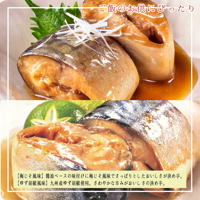 缶詰 魚 防災 鯖缶 梅じそ＆ゆず胡椒風味缶 各6缶 12缶 セット 宝幸 HOKO 日本のさば サバ缶 鯖 サバ さば 梅じそ ゆず胡椒風味 ゆず胡椒 魚 梅じそ缶 ゆず胡椒風味 6缶 12缶セット 缶詰め 缶づめ おつまみ ご挨拶 ご進物 手土産 内祝 ギフトセット 非常食 一品料理