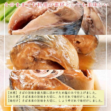 缶詰 魚 防災 鯖缶 3種缶 水煮缶 味噌煮缶 味付け缶 各4缶 12缶 セット 宝幸 HOKO 日本のさば サバ缶 鯖 サバ さば 魚缶 12缶セット 缶詰め 缶づめ おつまみ ご挨拶 ご進物 手土産 内祝 ギフトセット 非常食 一品料理