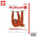 ノート 漢字 91字 漢字ノート サクラクレパス 学習帳 かんじれんしゅう リーダー入り サクラ学習帳 宿題 課題 小学生 記念品 学童用品 卒業 卒園 入学 入園 学習 ワーク 勉強 子供