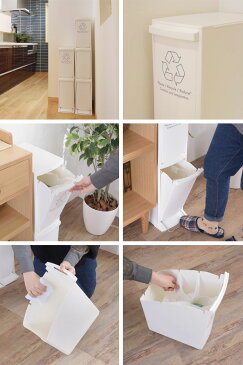 ゴミ箱 ふた付き 20L 分別 ペダル式 2段 幅21cm ダストボックス おしゃれ 2D LFS-932 2分別 ごみ箱 蓋 フタ プラスチック製 くずかご ダストBOX 分別ゴミ箱 分別ごみ箱 送料無料