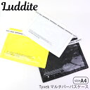 マルチケース 透明 マルチ パーパスケース A4 タイベック LUDDITE ラダイト Tyvek 耐水 耐塵 LDTV-MPA4 クリア クリアケース 通帳ケース 書類ケース 書類入れ ファイルケース ポーチ ファスナー ロゴ 小物入れ 学生 メール便