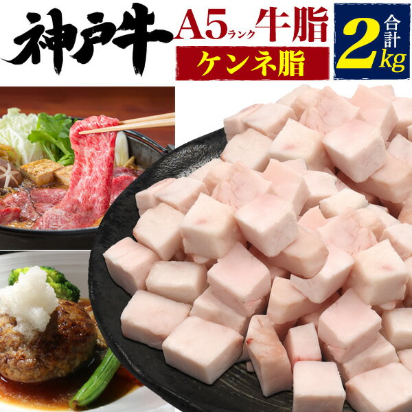 お歳暮 のし 対応 【送料無料】A5 神戸牛 ケンネ脂(牛脂) 2kg 2000g カット済みで使いやすい ブランド黒毛和牛 冷凍配送 国産 送料込み BBQ a5ランク 人気 通販 炒め物 野菜炒め ハンバーグ 肉じゃが コロッケ 牛肉料理 チャーハン ステーキ 焼き肉 すき焼き 鉄板焼き