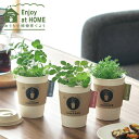 栽培キット 栽培セット ハーブ栽培キット 聖新陶芸 育てるカフェ アップルミント ワイルドストロベリー カモミール 園芸用品 プランター ユニーク 栽培 育てる...