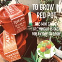 RED POT GARDEN bh|bgK[f ͔|Zbg ~jg}g ~jq} } CG -101 ͔|Lbg   bh |bg K[f Ă    e  c c ԕc  A A ϗtA A g}g Ђ܂ v[g Mtg  琬 