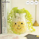 フェイクグリーン 卓上 かわいい グリーンネックレス 人工観葉植物 造花 ファミーユ 消臭アーティフィシャルグリーン テイラー 人工植物 観葉植物 多肉植物 リ...