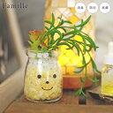 フェイクグリーン 卓上 かわいい 人工観葉植物 造花 ファミーユ 消臭アーティフィシャルグリーン ジャック 人工植物 観葉植物 多肉植物 リアル ct触媒 消臭...