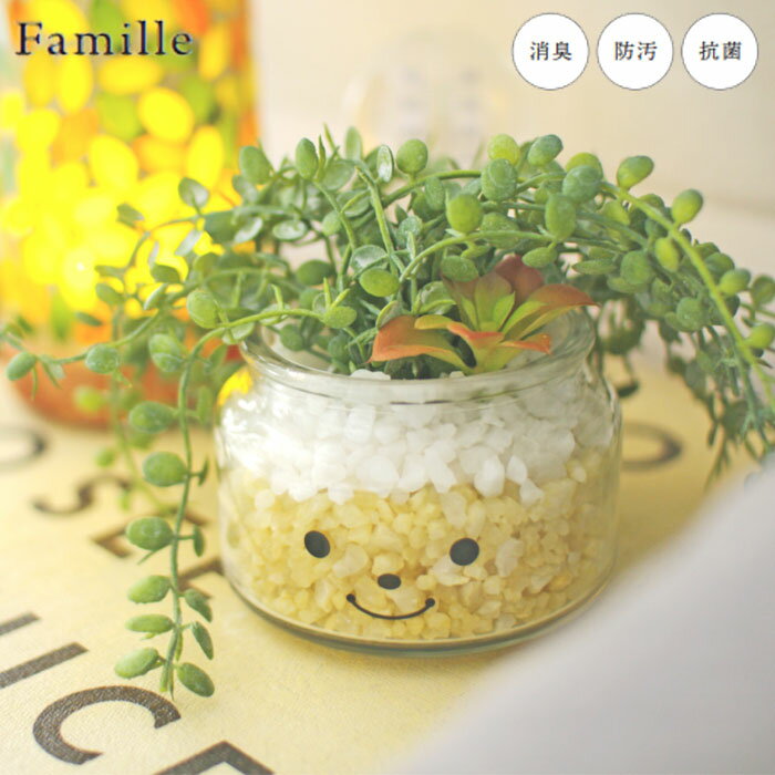 zakka green㤨֥ե꡼  襤 ͹տʪ ¤ եߡ ýƥե륰꡼ ʥ󥷡 ͹ʪ տʪ ¿ʪ ꥢ ct ý ɱ     ƥꥢפβǤʤ2,420ߤˤʤޤ