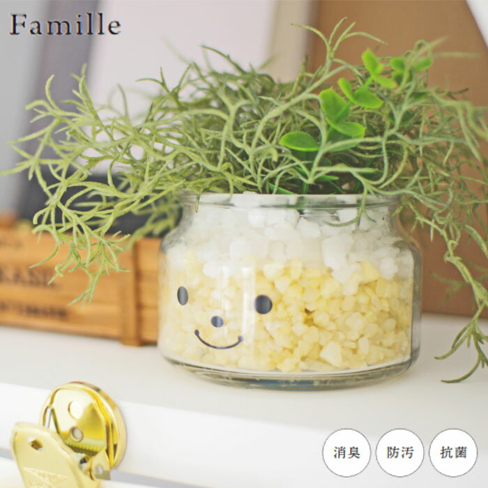 zakka green㤨֥ե꡼  襤 ͹տʪ ¤ եߡ ýƥե륰꡼ ϥ ͹ʪ տʪ ¿ʪ ꥢ ct ý ɱ     ƥꥢפβǤʤ2,420ߤˤʤޤ