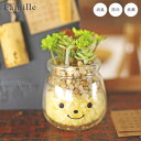 フェイクグリーン 卓上 かわいい 人工観葉植物 造花 ファミーユ 消臭アーティフィシャルグリーン ニコラ 人工植物 観葉植物 多肉植物 リアル ct触媒 消臭 ...